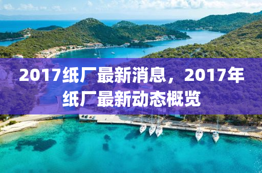 2017纸厂最新消息，2017年纸厂最新动态概览