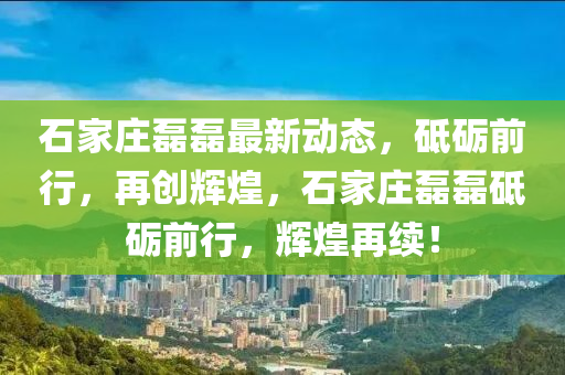 石家庄磊磊最新动态，砥砺前行，再创辉煌，石家庄磊磊砥砺前行，辉煌再续！