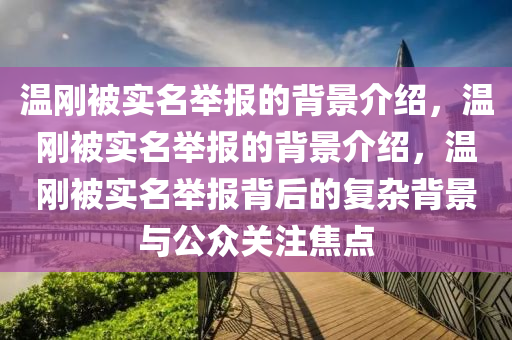 温刚被实名举报的背景介绍，温刚被实名举报的背景介绍，温刚被实名举报背后的复杂背景与公众关注焦点