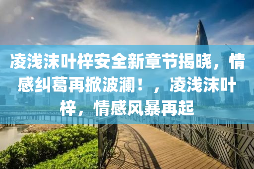 凌浅沫叶梓安全新章节揭晓，情感纠葛再掀波澜！，凌浅沫叶梓，情感风暴再起