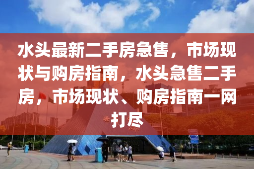 水头最新二手房急售，市场现状与购房指南，水头急售二手房，市场现状、购房指南一网打尽