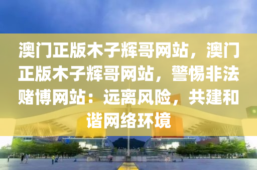 澳门正版木子辉哥网站，澳门正版木子辉哥网站，警惕非法赌博网站：远离风险，共建和谐网络环境