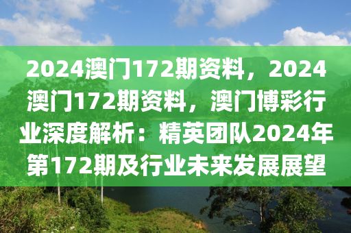 2024澳门172期资料，2024澳门172期资料，澳门博彩行业深度解析：精英团队2024年第172期及行业未来发展展望