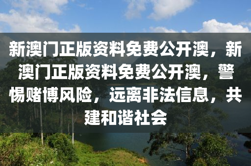 新澳门正版资料免费公开澳，新澳门正版资料免费公开澳，警惕赌博风险，远离非法信息，共建和谐社会