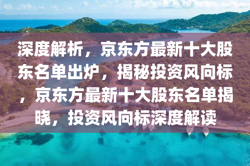 深度解析，京东方最新十大股东名单出炉，揭秘投资风向标，京东方最新十大股东名单揭晓，投资风向标深度解读