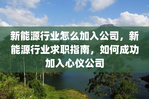 新能源行业怎么加入公司，新能源行业求职指南，如何成功加入心仪公司