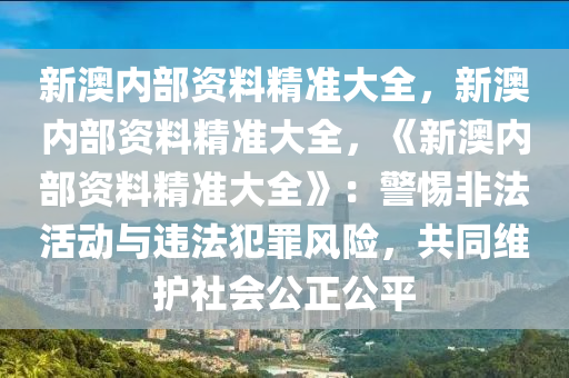 新澳内部资料精准大全，新澳内部资料精准大全，《新澳内部资料精准大全》：警惕非法活动与违法犯罪风险，共同维护社会公正公平