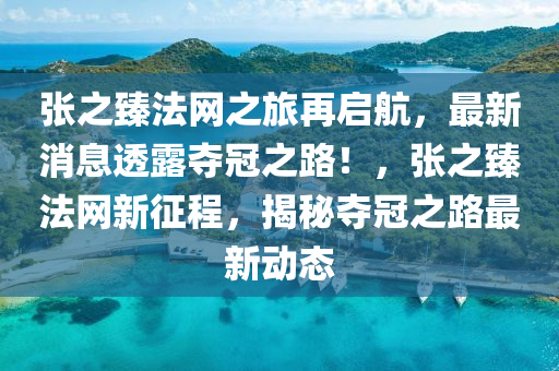 张之臻法网之旅再启航，最新消息透露夺冠之路！，张之臻法网新征程，揭秘夺冠之路最新动态