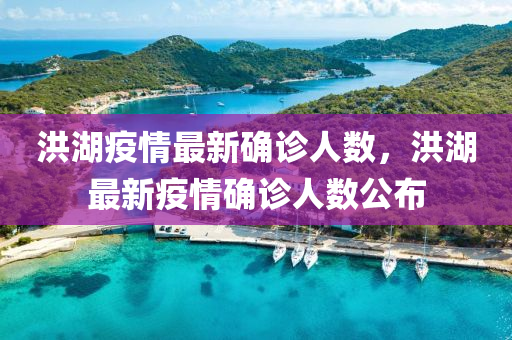 洪湖疫情最新确诊人数，洪湖最新疫情确诊人数公布