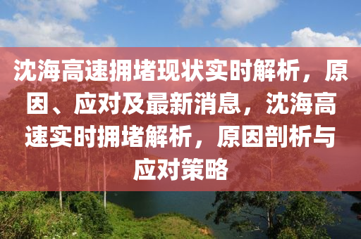 沈海高速拥堵现状实时解析，原因、应对及最新消息，沈海高速实时拥堵解析，原因剖析与应对策略