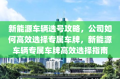 新能源车辆选号攻略，公司如何高效选择专属车牌，新能源车辆专属车牌高效选择指南