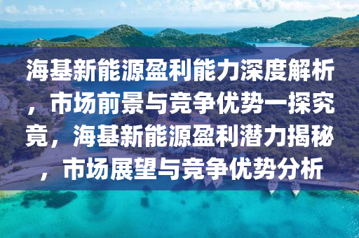 海基新能源盈利能力深度解析，市场前景与竞争优势一探究竟，海基新能源盈利潜力揭秘，市场展望与竞争优势分析