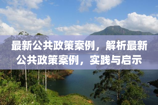 最新公共政策案例，解析最新公共政策案例，实践与启示