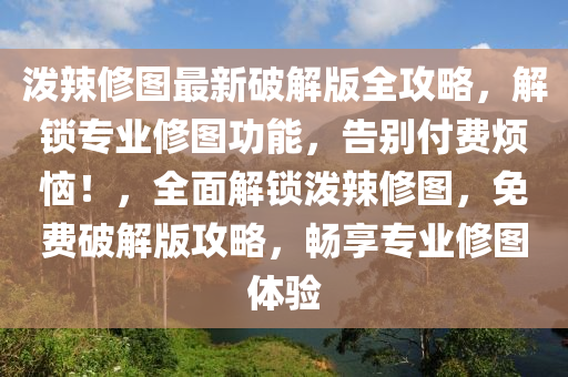 泼辣修图最新破解版全攻略，解锁专业修图功能，告别付费烦恼！，全面解锁泼辣修图，免费破解版攻略，畅享专业修图体验