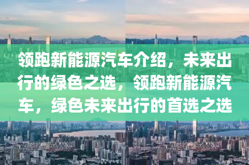 领跑新能源汽车介绍，未来出行的绿色之选，领跑新能源汽车，绿色未来出行的首选之选