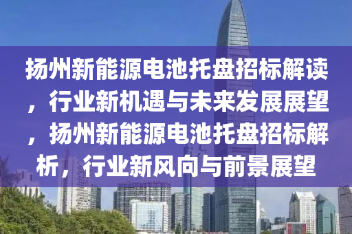 扬州新能源电池托盘招标解读，行业新机遇与未来发展展望，扬州新能源电池托盘招标解析，行业新风向与前景展望