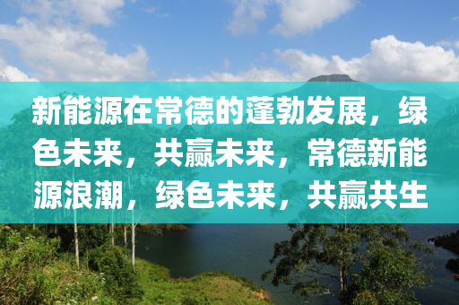 新能源在常德的蓬勃发展，绿色未来，共赢未来，常德新能源浪潮，绿色未来，共赢共生