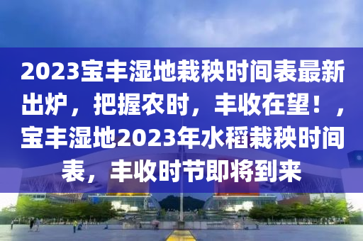 2023宝丰湿地栽秧时间表最新出炉，把握农时，丰收在望！，宝丰湿地2023年水稻栽秧时间表，丰收时节即将到来