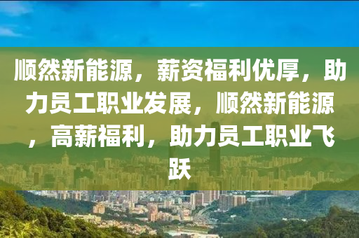 顺然新能源，薪资福利优厚，助力员工职业发展，顺然新能源，高薪福利，助力员工职业飞跃