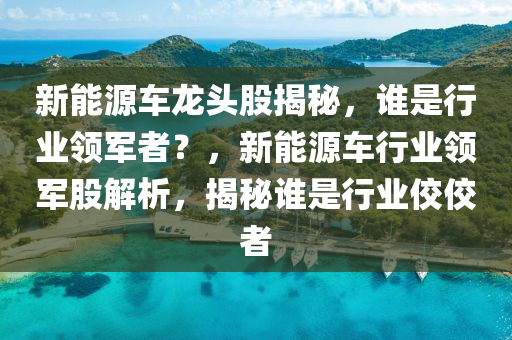 新能源车龙头股揭秘，谁是行业领军者？，新能源车行业领军股解析，揭秘谁是行业佼佼者