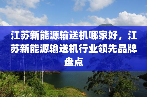 江苏新能源输送机哪家好，江苏新能源输送机行业领先品牌盘点