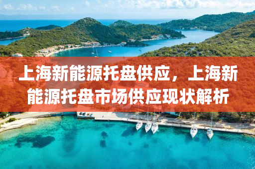 上海新能源托盘供应，上海新能源托盘市场供应现状解析