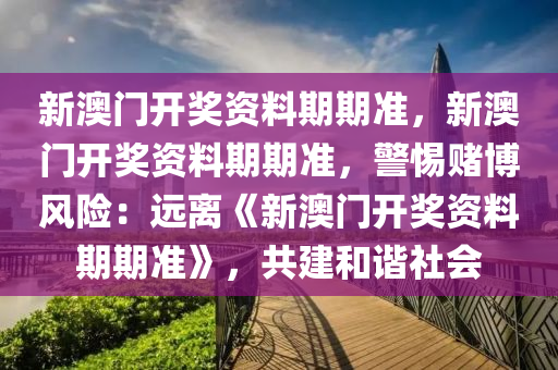 新澳门开奖资料期期准，新澳门开奖资料期期准，警惕赌博风险：远离《新澳门开奖资料期期准》，共建和谐社会