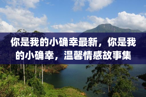 你是我的小确幸最新，你是我的小确幸，温馨情感故事集