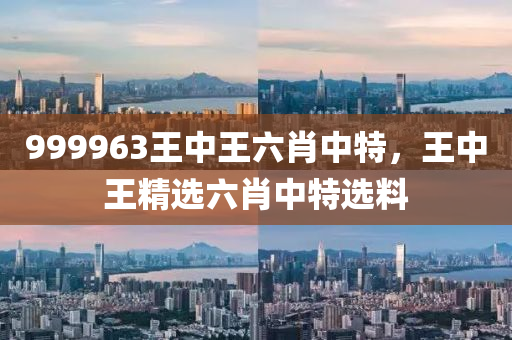 999963王中王六肖中特，王中王精选六肖中特选料