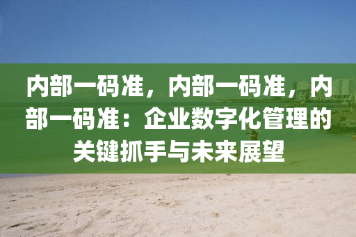 内部一码准，内部一码准，内部一码准：企业数字化管理的关键抓手与未来展望