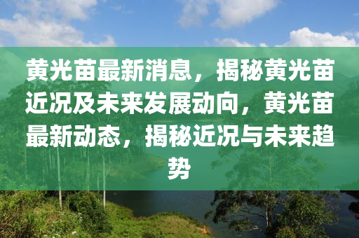 黄光苗最新消息，揭秘黄光苗近况及未来发展动向，黄光苗最新动态，揭秘近况与未来趋势