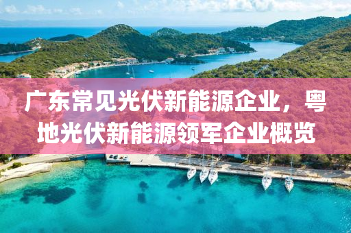 广东常见光伏新能源企业，粤地光伏新能源领军企业概览