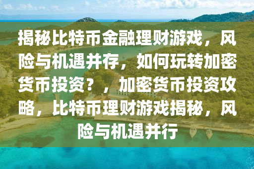 揭秘比特币金融理财游戏，风险与机遇并存，如何玩转加密货币投资？，加密货币投资攻略，比特币理财游戏揭秘，风险与机遇并行