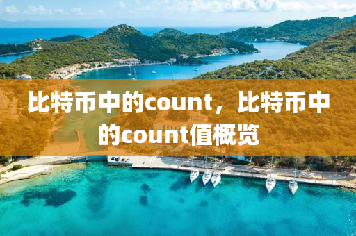 比特币中的count，比特币中的count值概览