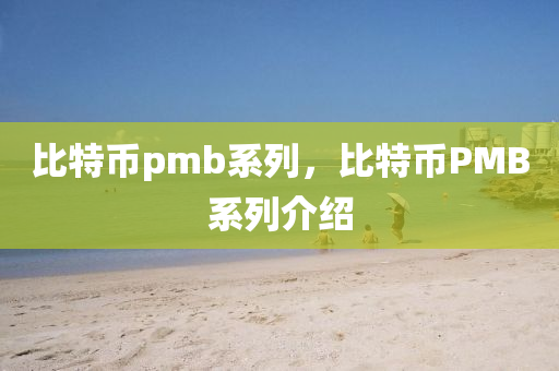 比特币pmb系列，比特币PMB系列介绍