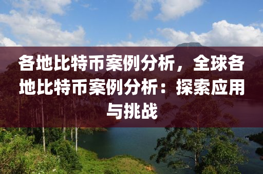 各地比特币案例分析，全球各地比特币案例分析：探索应用与挑战