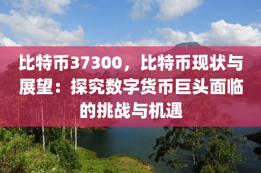 比特币37300，比特币现状与展望：探究数字货币巨头面临的挑战与机遇