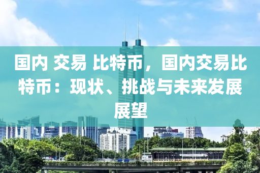 国内 交易 比特币，国内交易比特币：现状、挑战与未来发展展望