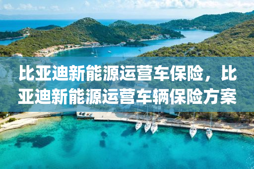 比亚迪新能源运营车保险，比亚迪新能源运营车辆保险方案