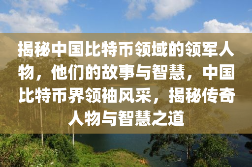 揭秘中国比特币领域的领军人物，他们的故事与智慧，中国比特币界领袖风采，揭秘传奇人物与智慧之道