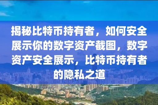 揭秘比特币持有者，如何安全展示你的数字资产截图，数字资产安全展示，比特币持有者的隐私之道