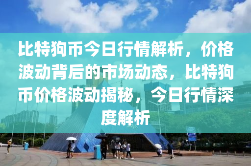 比特狗币今日行情解析，价格波动背后的市场动态，比特狗币价格波动揭秘，今日行情深度解析