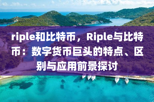 riple和比特币，Riple与比特币：数字货币巨头的特点、区别与应用前景探讨