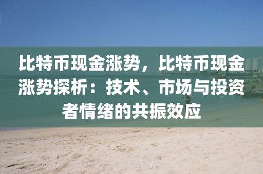 比特币现金涨势，比特币现金涨势探析：技术、市场与投资者情绪的共振效应