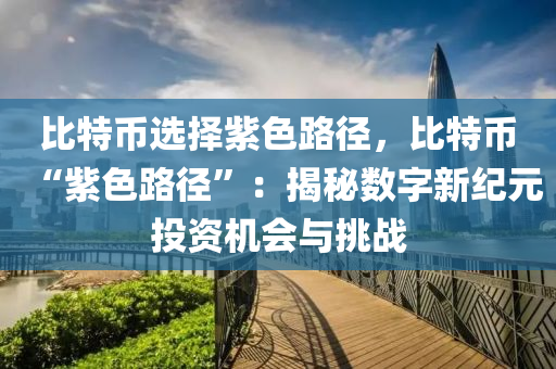 比特币选择紫色路径，比特币“紫色路径”：揭秘数字新纪元投资机会与挑战