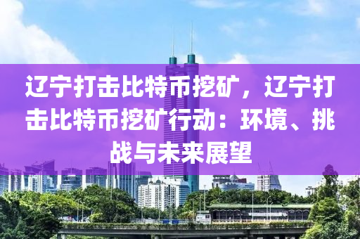 辽宁打击比特币挖矿，辽宁打击比特币挖矿行动：环境、挑战与未来展望