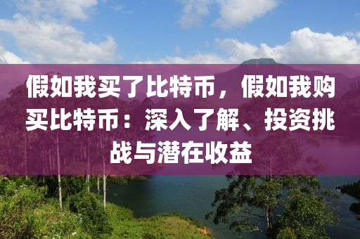 假如我买了比特币，假如我购买比特币：深入了解、投资挑战与潜在收益