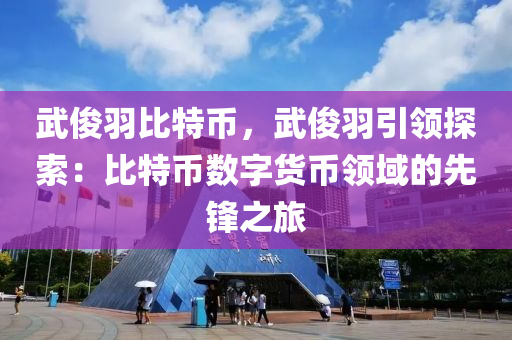 武俊羽比特币，武俊羽引领探索：比特币数字货币领域的先锋之旅