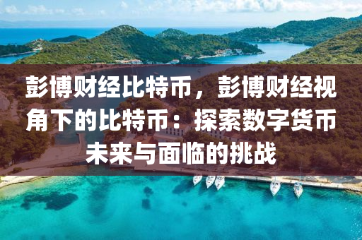 彭博财经比特币，彭博财经视角下的比特币：探索数字货币未来与面临的挑战