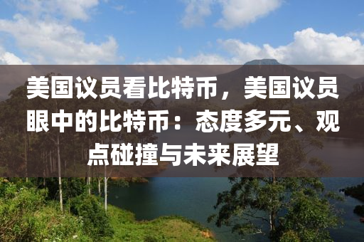 美国议员看比特币，美国议员眼中的比特币：态度多元、观点碰撞与未来展望